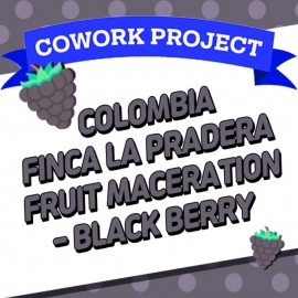 콜롬비아 핀카 라프라데라 카스티죠 과일발효 - 블랙베리